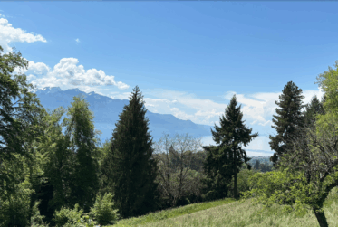 CASA BOSCO - NEUF - Villa jumelle de 5.5 pièces avec vue Lac