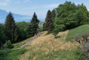 CASA BOSCO - NEUF - Villa jumelle de 5.5 pièces avec vue Lac