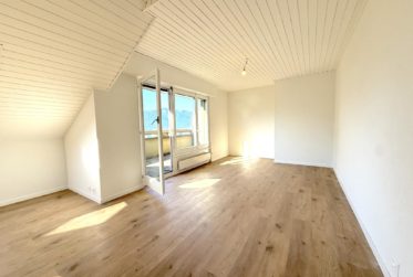 Grand appartement de 3.5 pièces avec balcon, au dernier étage