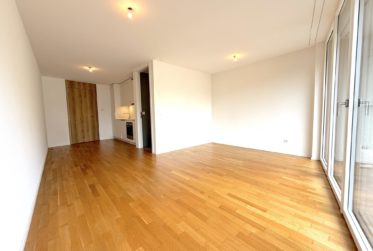 Magnifique studio au 4ème avec balcon à Montchoisi
