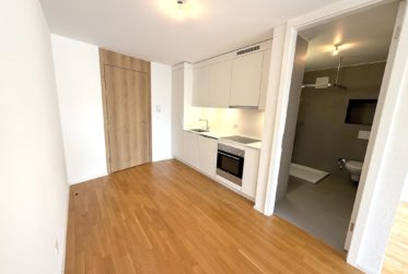 Magnifique studio au 4ème avec balcon à Montchoisi