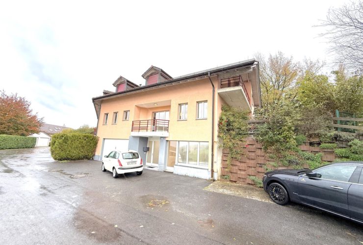 Grande maison familiale avec jardin et terrasse - FORT POTENTIEL