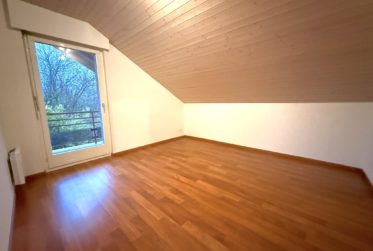 Grande maison familiale avec jardin et terrasse - FORT POTENTIEL