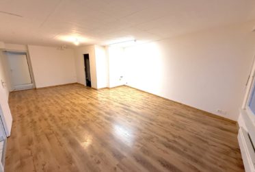 Grande maison familiale avec jardin et terrasse - FORT POTENTIEL