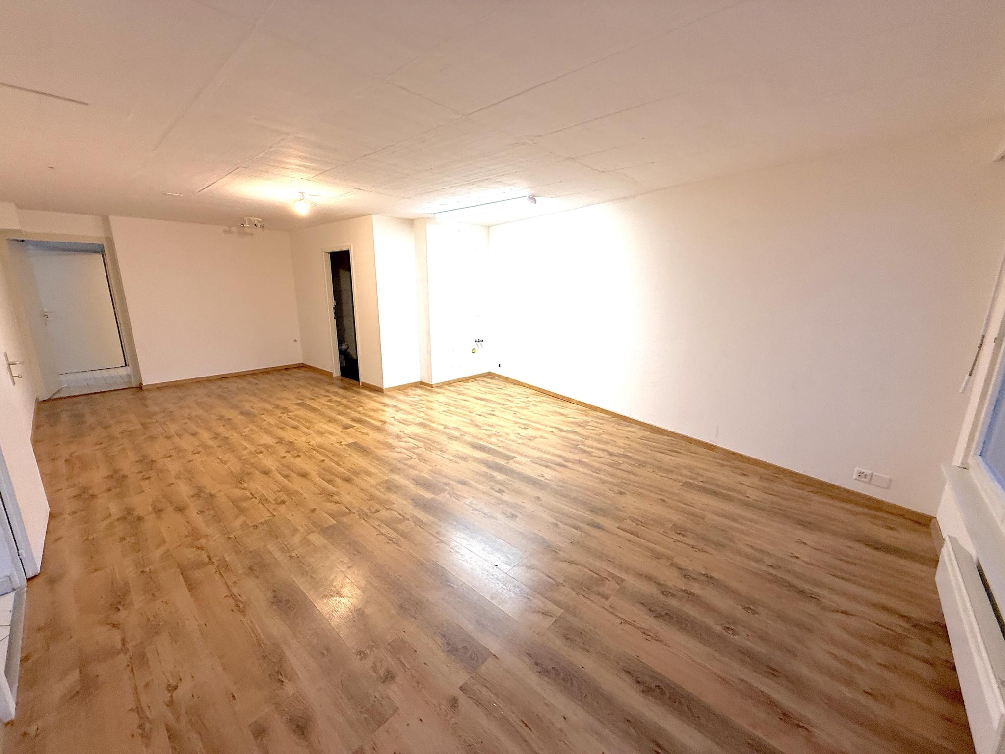 Grande maison familiale avec jardin et terrasse - FORT POTENTIEL