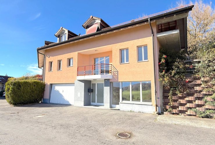 Grande maison familiale avec jardin et terrasse - FORT POTENTIEL