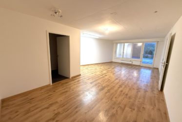 Grande maison familiale avec jardin et terrasse - FORT POTENTIEL