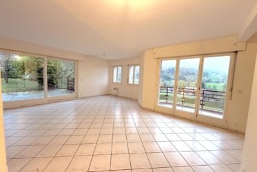 Grande maison familiale avec jardin et terrasse - FORT POTENTIEL