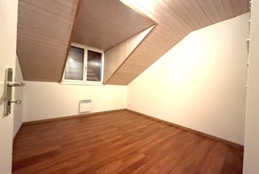 Grande maison familiale avec jardin et terrasse - FORT POTENTIEL