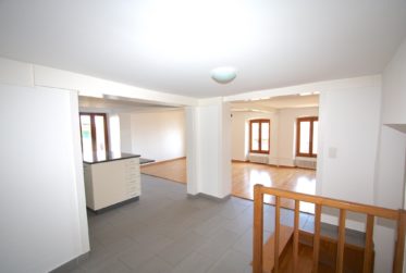 Appartement de 4.5 pièces au rez avec jardin