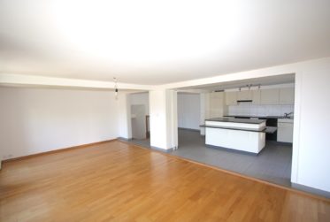 Appartement de 4.5 pièces au rez avec jardin