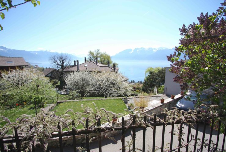 Appartement de 4.5 pièces au rez avec jardin