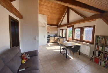Superbe appartement rafraîchi de 2 pièces dans les combles avec balcon