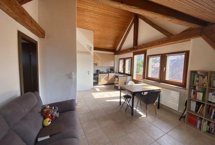 Superbe appartement rafraîchi de 2 pièces dans les combles avec balcon