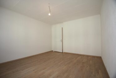 Bel appartement de 3.5 pièces avec terrasse vue lac