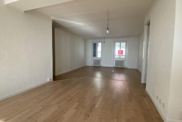 Bel appartement de 3.5 pièces avec terrasse vue lac