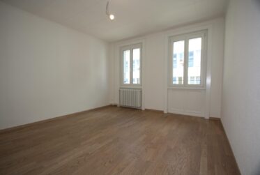 Bel appartement de 3.5 pièces avec terrasse vue lac
