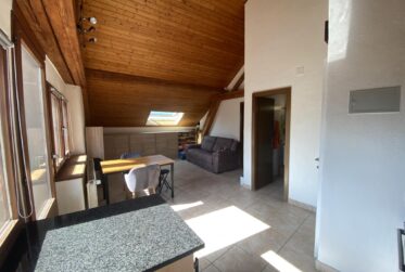 Superbe appartement rafraîchi de 2 pièces dans les combles avec balcon