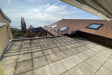 Bel appartement de 3.5 pièces avec terrasse vue lac