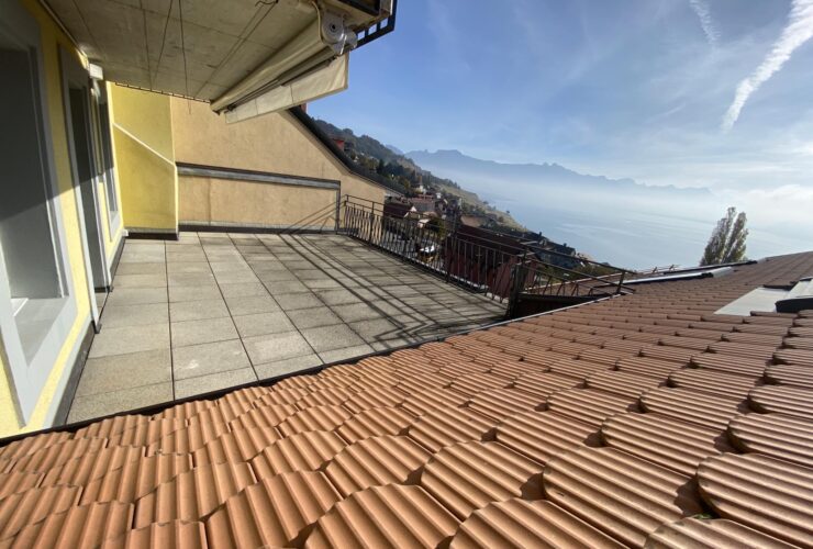 Bel appartement de 3.5 pièces avec terrasse vue lac