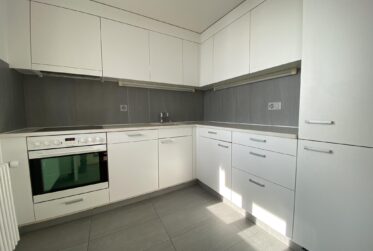 Bel appartement de 3.5 pièces avec terrasse vue lac