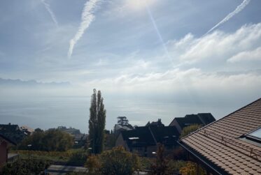 Bel appartement de 3.5 pièces avec terrasse vue lac