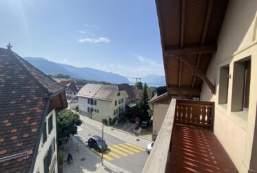 Superbe appartement rafraîchi de 2 pièces dans les combles avec balcon